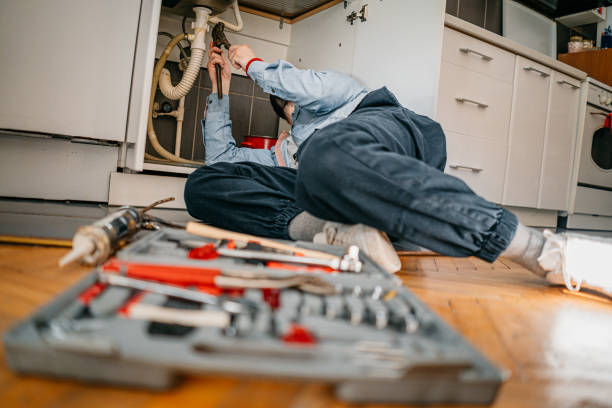 Best Water Softener Installation  in Cedar Hill, TX